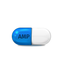 AMPICILLIN AMPICILLIN