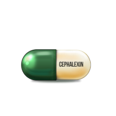 Cephalexin Cephalexin