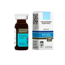 Testosterone Enanthate Testosterone Enanthate