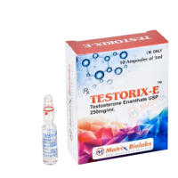Testorix-E