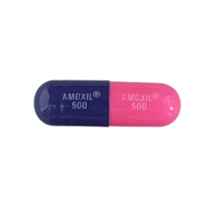 Amoxil Amoxil