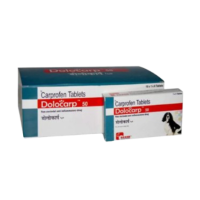 Dolocarp for Dogs