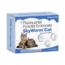 Skyworm Cat