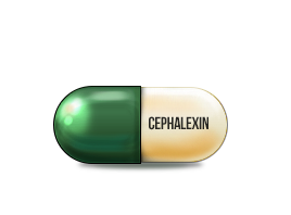 Cephalexin Cephalexin