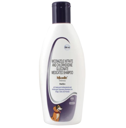 Micodin Shampoo