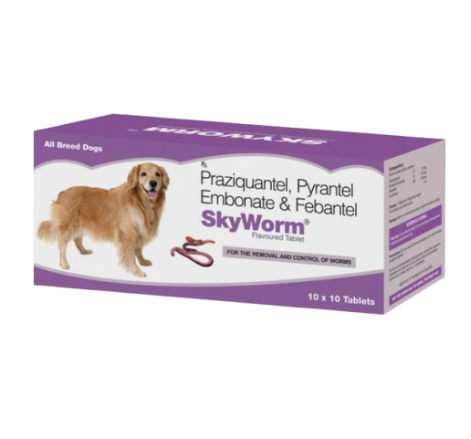 Skyworm Dog
