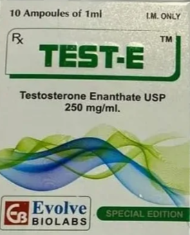 TEST-E TEST-E